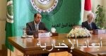 وزارة الدفاع الجزائرية: ضبط عنصرى دعم للإرهابيين وتدمير 4 مخابئ