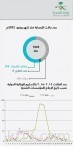 343 دائرة بالمملكة خلال الانتخابات البلدية