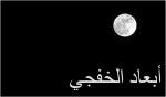 نائب الملك: حكومة خادم الحرمين حريصة على تسخير جميع الإمكانات لخدمة المواطنين والمقيمين والزوار