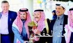 اتحاد الكاراتيه.. فرس رهان الرياضة السعودية