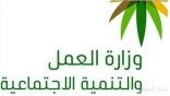 «العمل والتنمية» تكشف قطاعات جديدة سيتم توطينها تباعاً