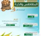 الترخيص لـ 14 مصنعاً لتصدير البطاطس والذرة المصنعة خلال 4 أشهر