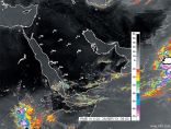 تدني الرؤية بسبب العوالق الترابية شرق ووسط المملكة