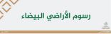 «الإسكان»: سنتوصّل لجميع مخالفي «رسوم البيضاء» ونطبق العقوبات