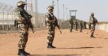 استشهاد جنديين ومقتل 4 إرهابيين فى اشتباكات شمال الجزائر