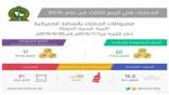 الجمارك السعودية تضبط 22 مليون وحدة من المواد المقلدة والمغشوشة