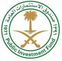صندوق الاستثمارات العامة يُطلق شركة “كروز السعودية” لتطوير قطاع الرحلات البحرية السياحية في المملكة