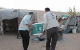 مركز الملك سلمان للإغاثة يوزع 1300 سلة غذائية للنازحين من الجوف إلى مأرب