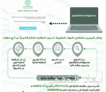 المالية: المقابل المالي على الوافدين ومرافقيهم لم يتغيّر