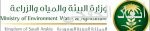 دارة الملك عبد العزيز و” ميركوت ” توقعان شراكة لتنفيذ 12 حلقة كرتونية عن تاريخ الجزيرة العربية