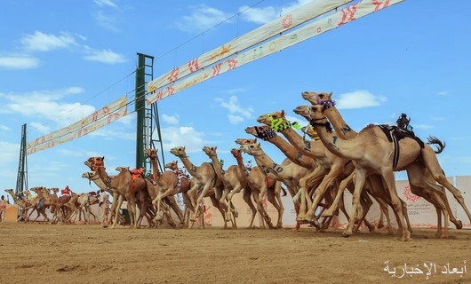 مهرجان ولي العهد للهجن